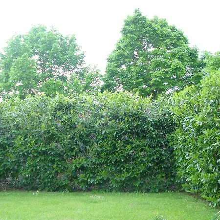 Apartment La Vigna *