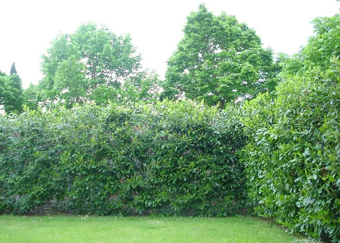 Apartamento La Vigna *